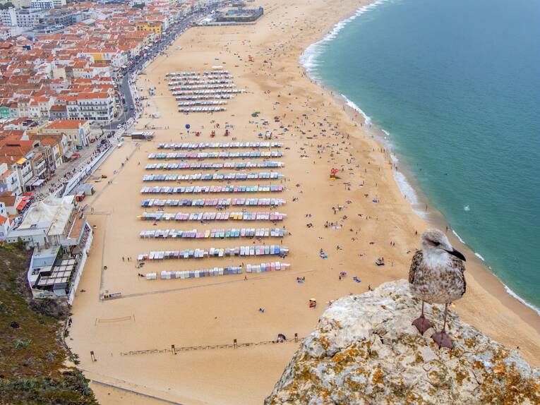 Camping Colina do Sol **** photo 6 Centre Portugal Tohapi